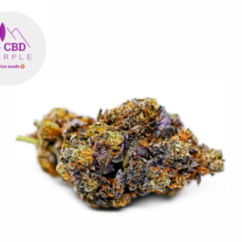 Gelato 41 CBD 16% - CBD Purple