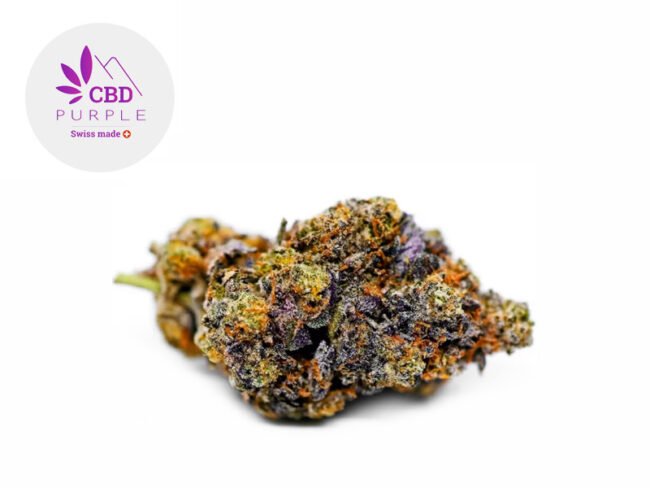 Gelato 41 CBD 16% - CBD Purple