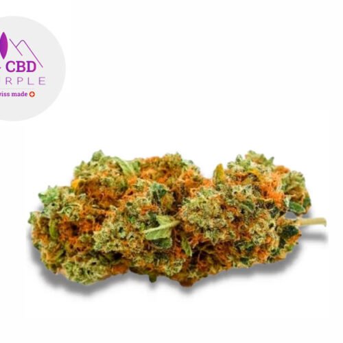 AK-47 CBD 15% - CBD Purple