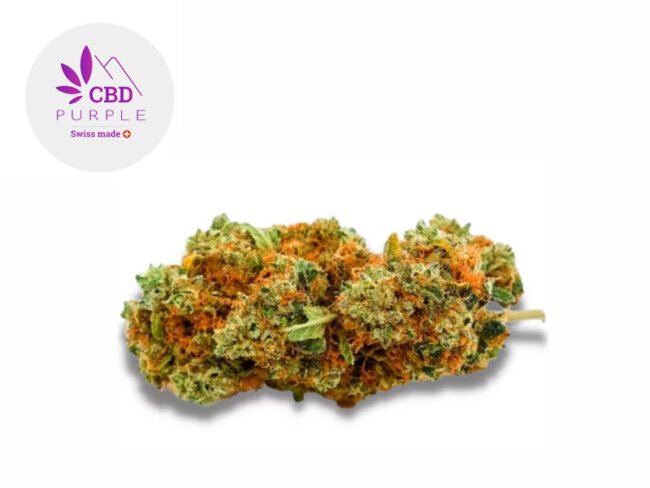 AK-47 CBD 15% - CBD Purple