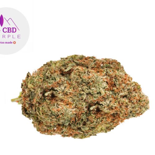 OG Kush CBD 13% - CBD Purple