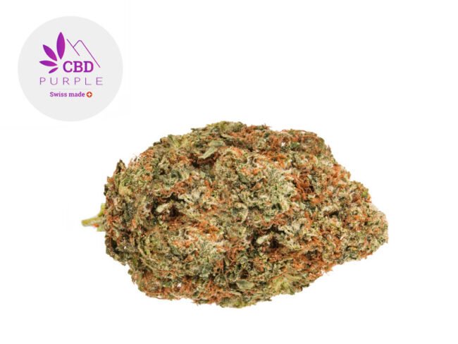 OG Kush CBD 13% - CBD Purple