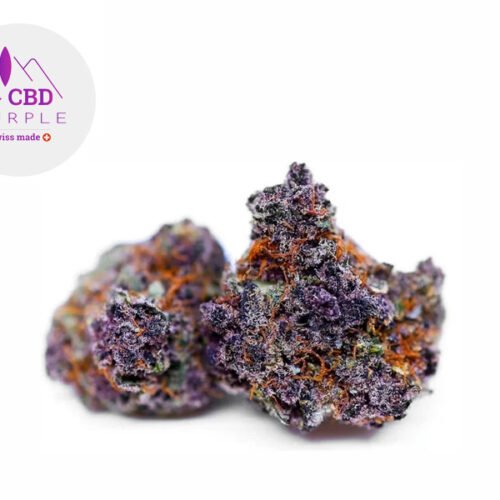 Purple Punch CBD 12% - CBD Purple