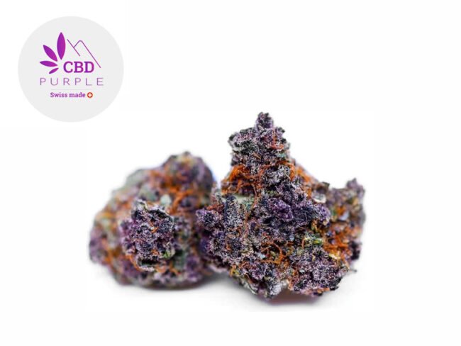 Purple Punch CBD 12% - CBD Purple