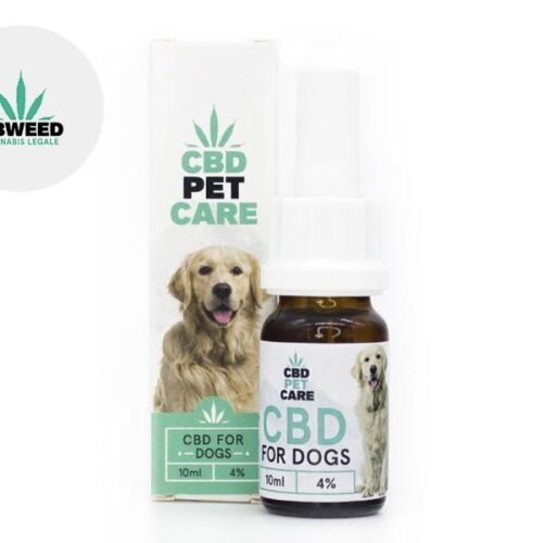 Huile CBD Chien 4% Cbweed