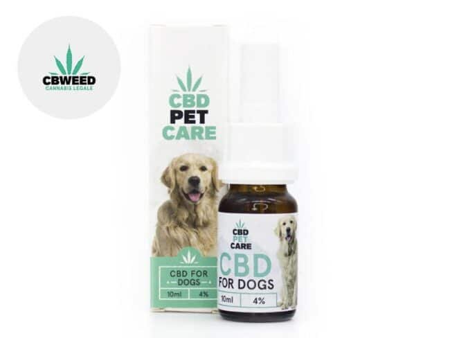 Huile CBD Chien 4% Cbweed
