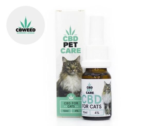 Le CBD (cannabis LEGAL) pour les chats