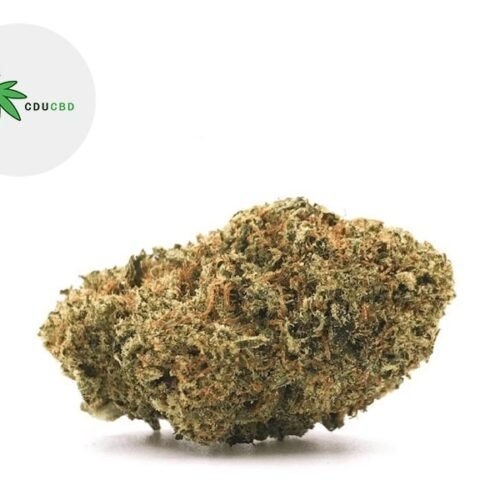 Master Yoda OG CBD 15% - Cducbd