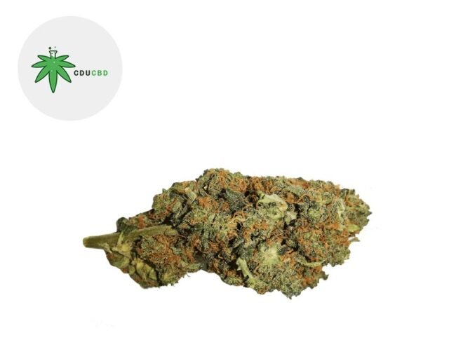 Orange Bud CBD 15% - Cducbd