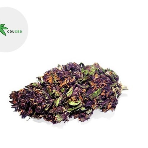 Purple Haze CBD 19% - Cducbd