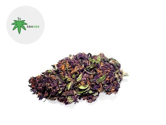Purple Haze CBD 19% - Cducbd