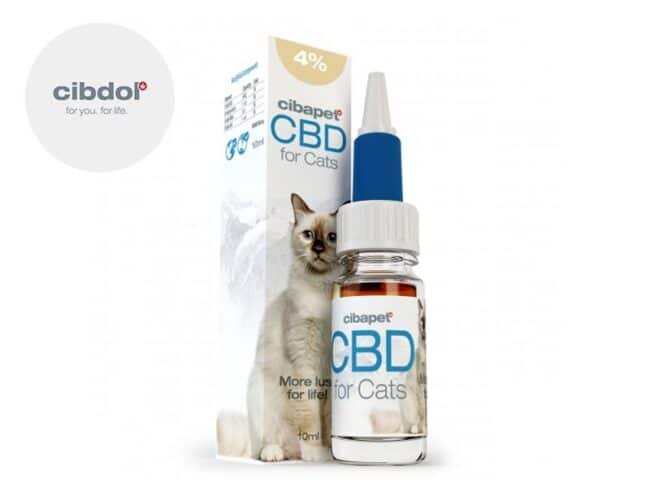 Huile CBD Chat 4% Cibdol