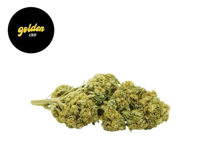 Amnesia Kush CBD 3