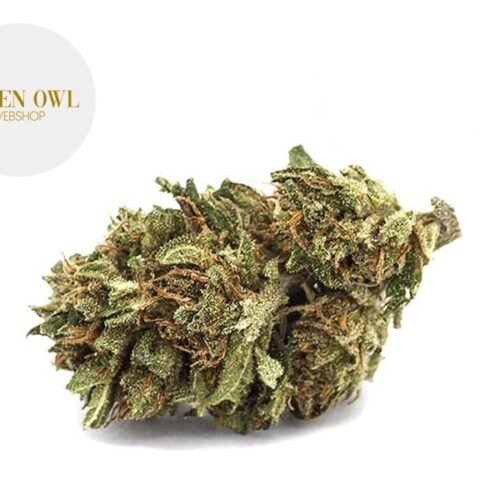 Orange Bud CBD 15% - Greenowl