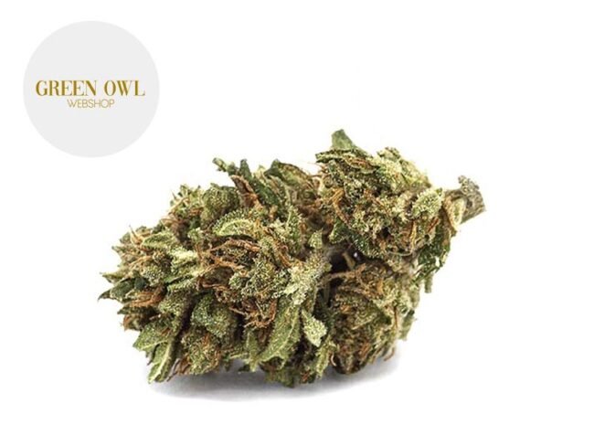 Orange Bud CBD 15% - Greenowl