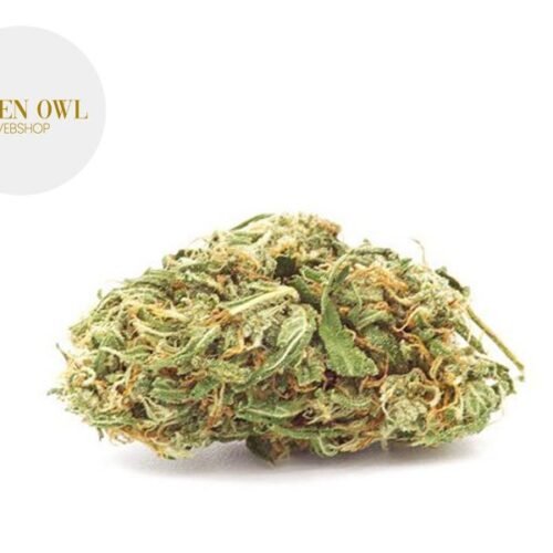 Critical CBG 10% - Greenowl