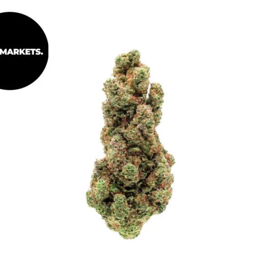 Cereal Milk CBX 29% - High Market