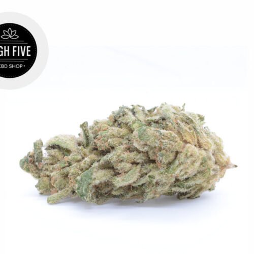 Gelato CBD 10% - High Five