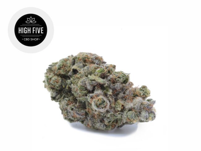 Northern Light CBD 11