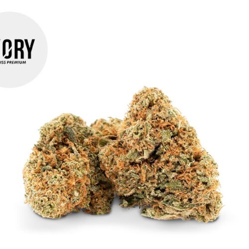 AK-47 CBD 12% - Ivory Swiss