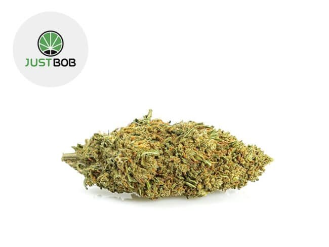 Melon Kush CBD 18