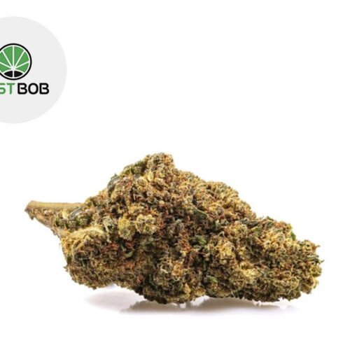 GG#4 CBD Boost 40% - JustBob