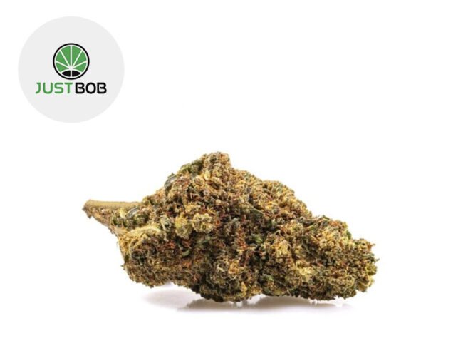 GG#4 CBD Boost 40% - JustBob