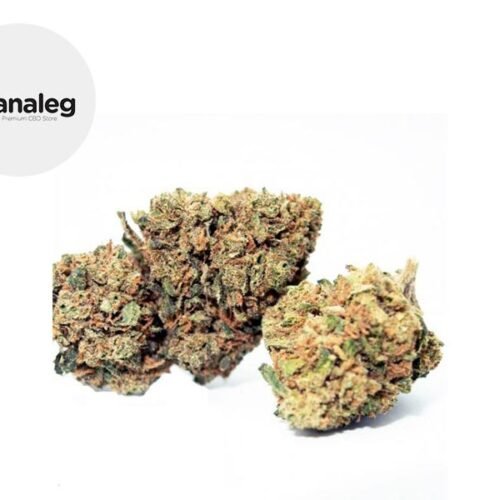 Gelato CBD 5% - Kanaleg