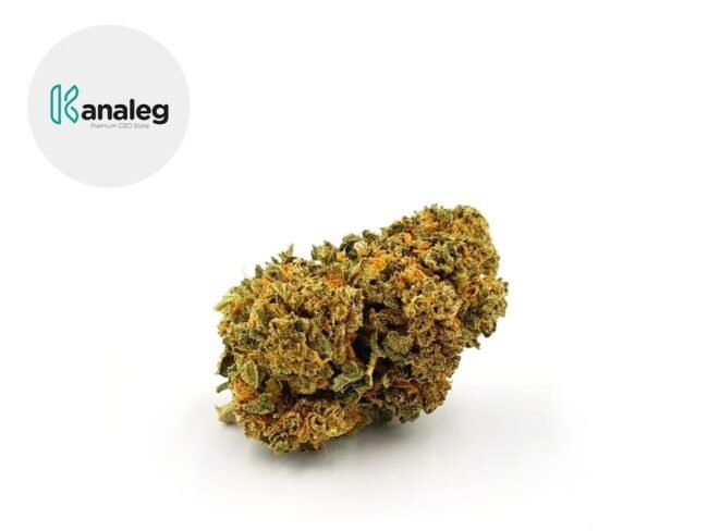 Cheese CBD 5