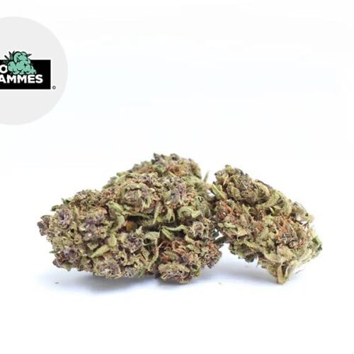 Purple Haze CBD 15% - Kilogrammes