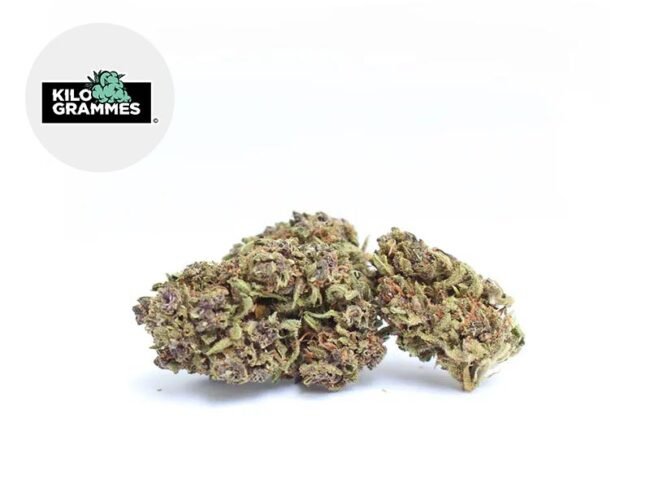 Purple Haze CBD 15% - Kilogrammes