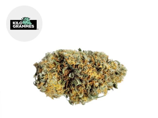 Vanilla Kush CBD 16