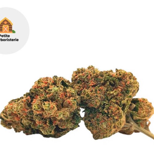 Alpine Delight 10-OH-HHC 22% - La Petite Herboristerie