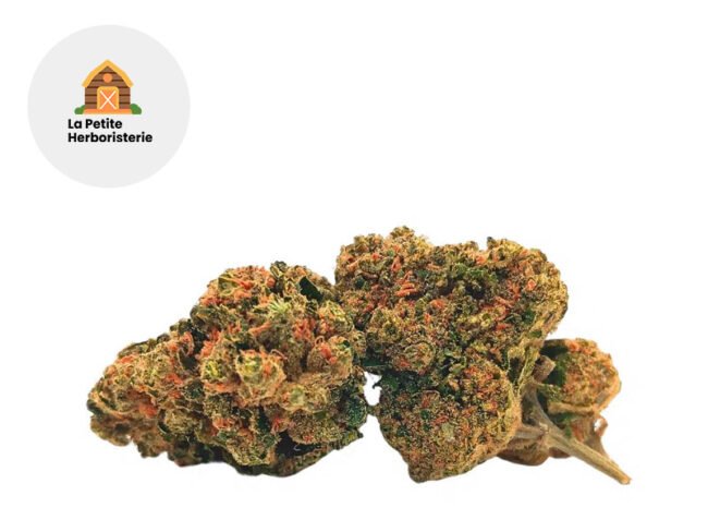 Alpine Delight 10-OH-HHC 22% - La Petite Herboristerie