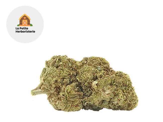 Critical CB9 17% - La Petite Herboristerie