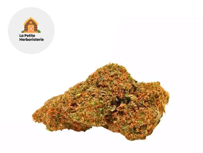 Jack Herer CBC 22% - La Petite Herboristerie