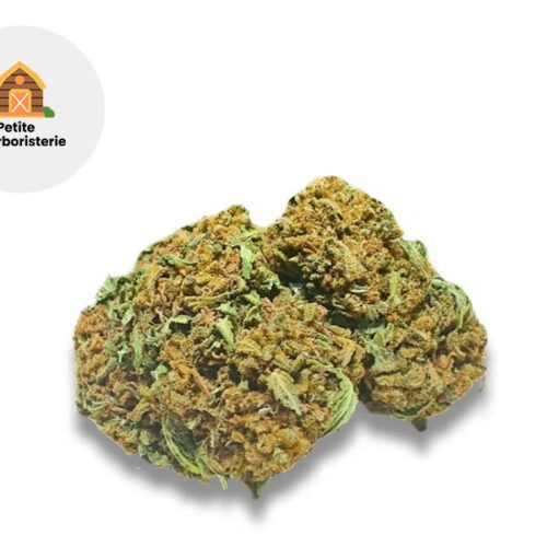 Harlequin Bretagne CBD 11% - La Petite Herboristerie