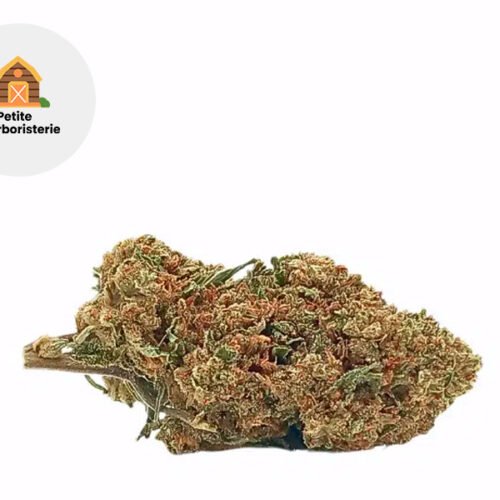 Gelato CBDP 22% - La Petite Herboristerie