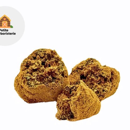 Pistachio HPE 27% - La Petite Herboristerie