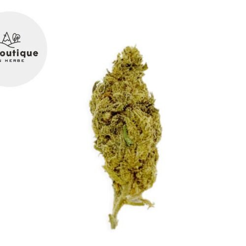 Orange Bud CBD 14