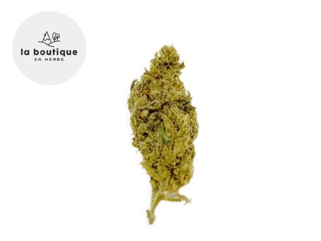 Orange Bud CBD 14