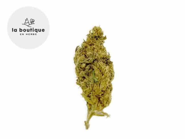 Orange Bud CBD 14