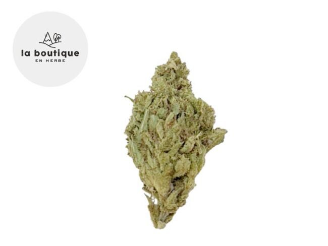 Super Silver Haze CBD 10% - La Boutique en Herbe