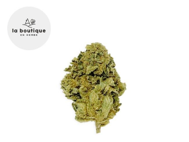 Master Kush CBD 4% - La Boutique en Herbe