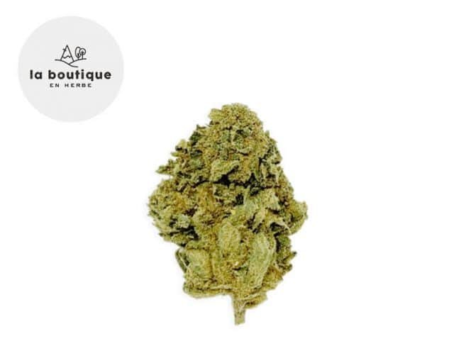 Master Kush CBD 4% - La Boutique en Herbe