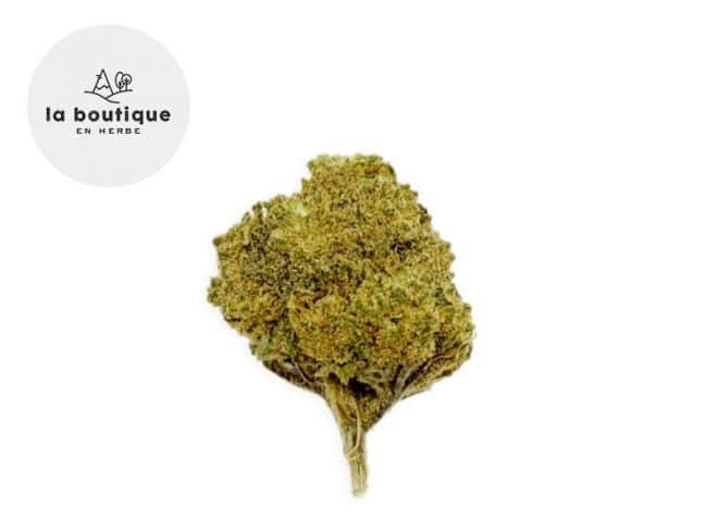 Bubble Gum CBD 13