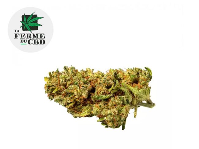 Lemon skunk CBD 13% - La Ferme du CBD