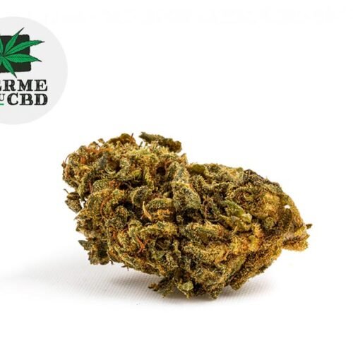 Master Kush CBD 18% - La Ferme du CBD