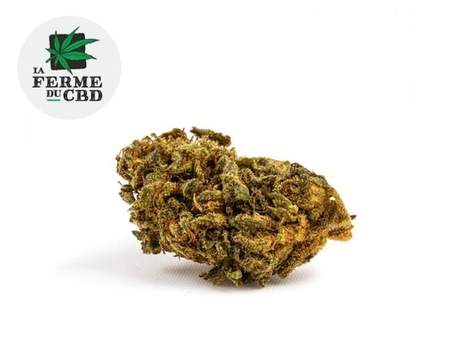 Master Kush CBD 18% - La Ferme du CBD