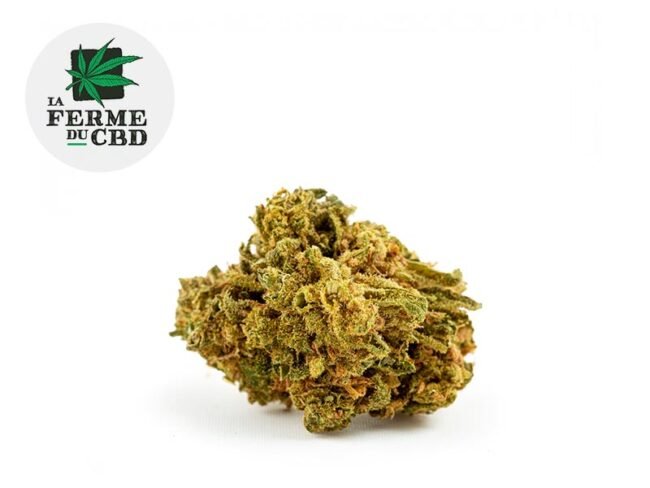 Great White Shark CBD 15% - La Ferme du CBD